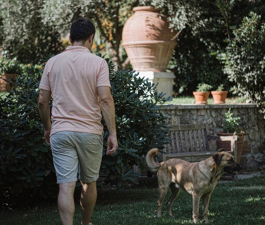 Why dogs follow you everywhere