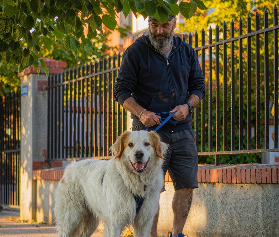 The daily walk matters more than you think