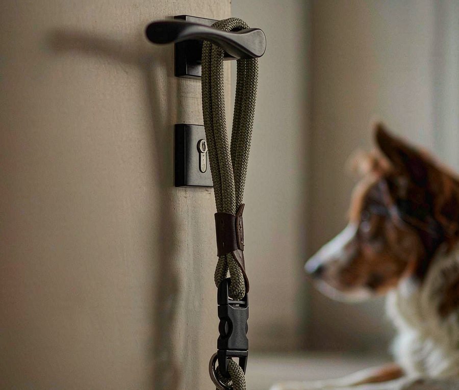 The case for the boring leash