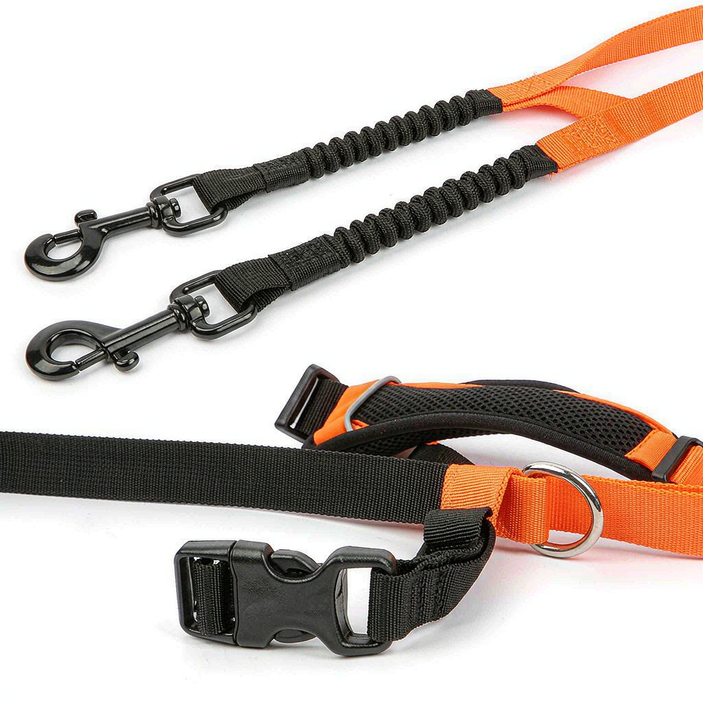 Leash guide