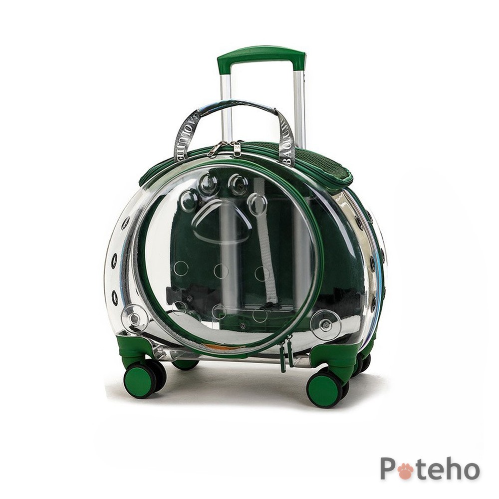 Transparent Pet Carrier with Rolling Wheels by Poteho